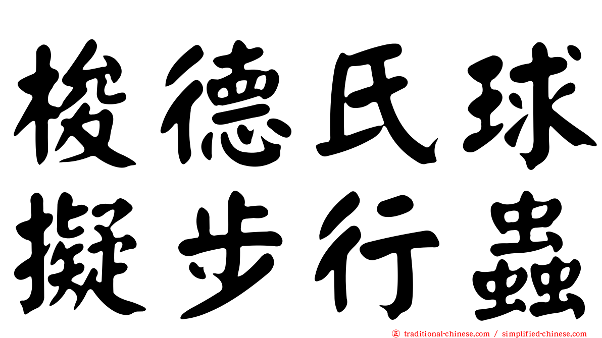 梭德氏球擬步行蟲