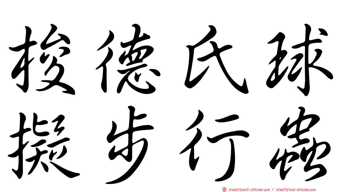 梭德氏球擬步行蟲