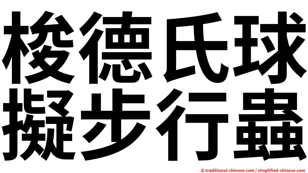 梭德氏球擬步行蟲
