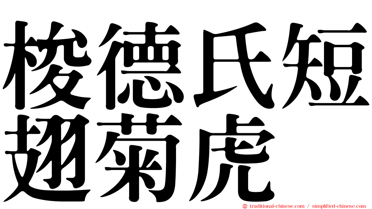 梭德氏短翅菊虎