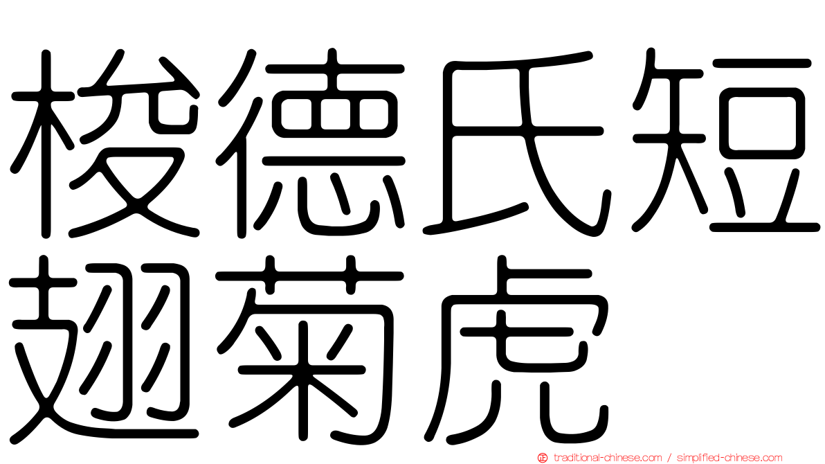 梭德氏短翅菊虎