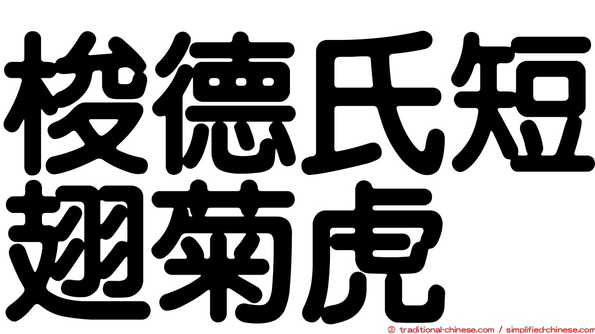 梭德氏短翅菊虎
