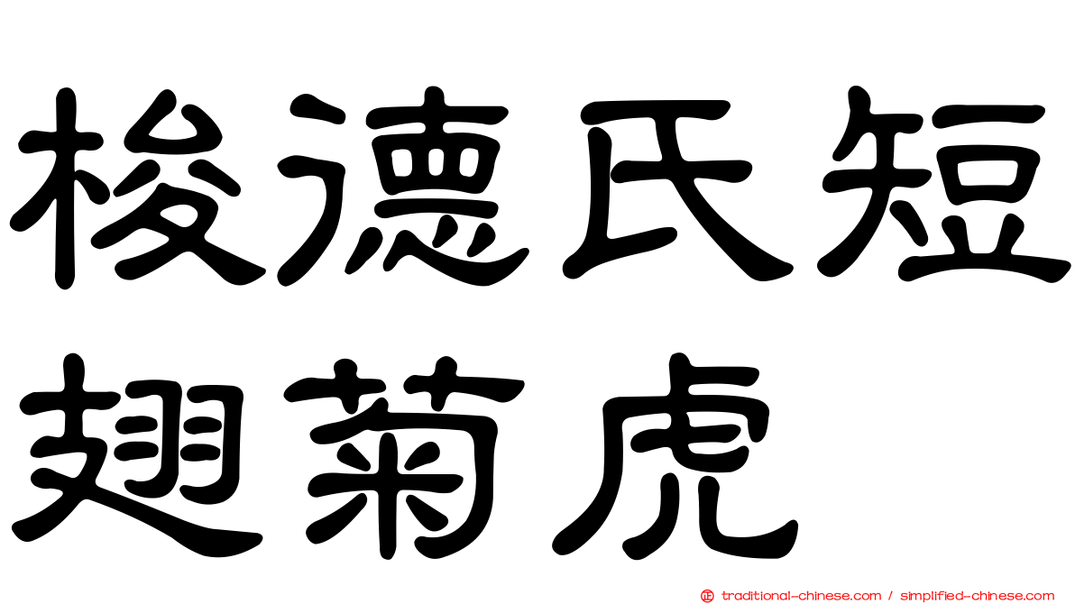 梭德氏短翅菊虎
