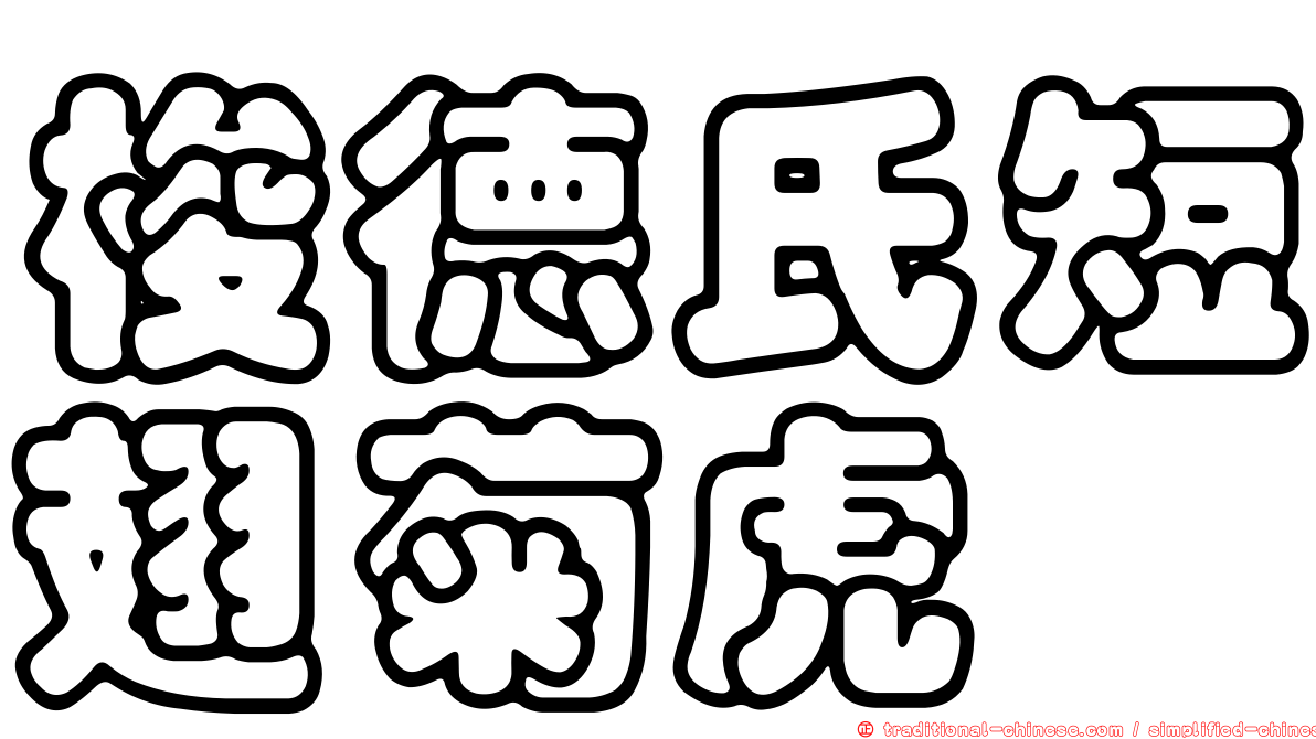 梭德氏短翅菊虎