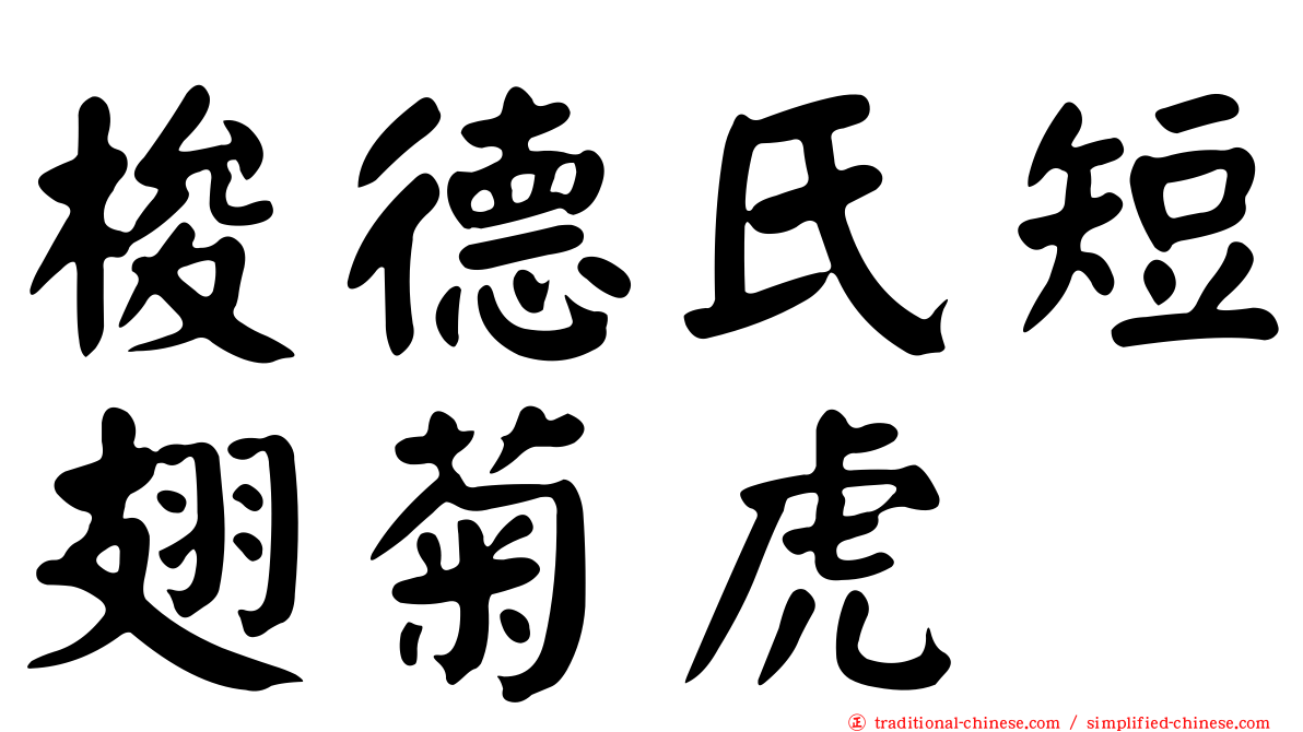 梭德氏短翅菊虎