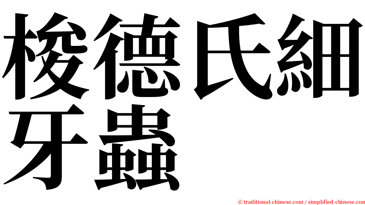 梭德氏細牙蟲 serif font