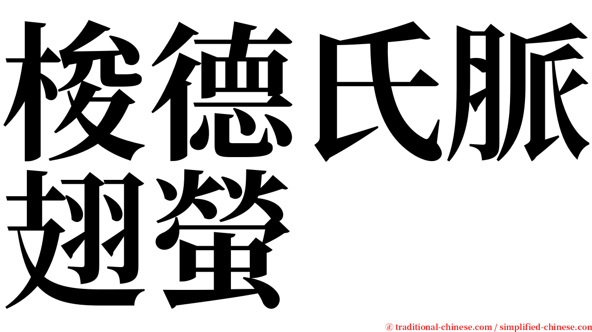 梭德氏脈翅螢 serif font