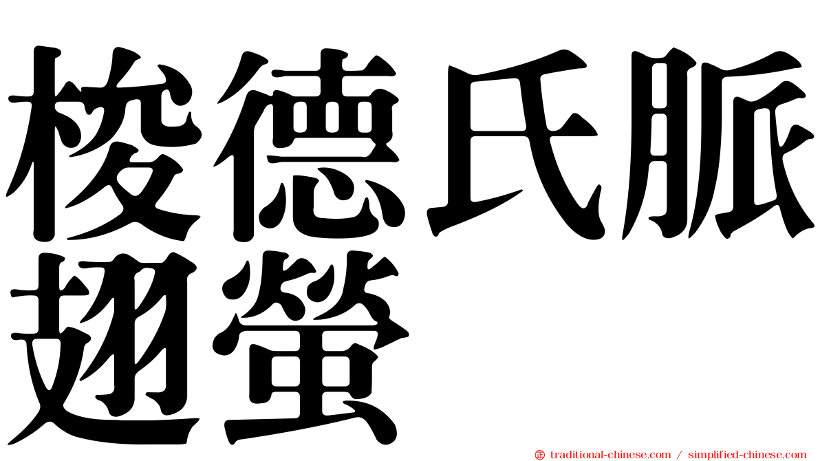 梭德氏脈翅螢