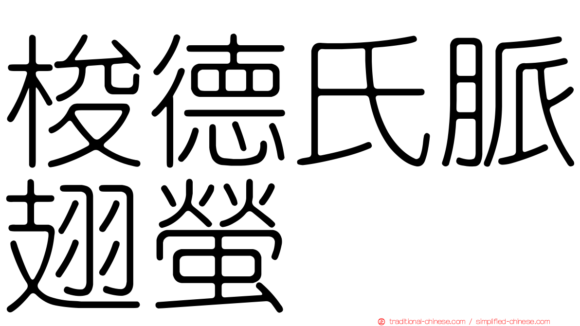 梭德氏脈翅螢