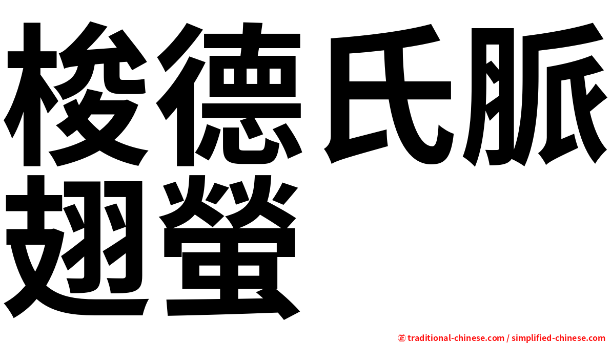 梭德氏脈翅螢