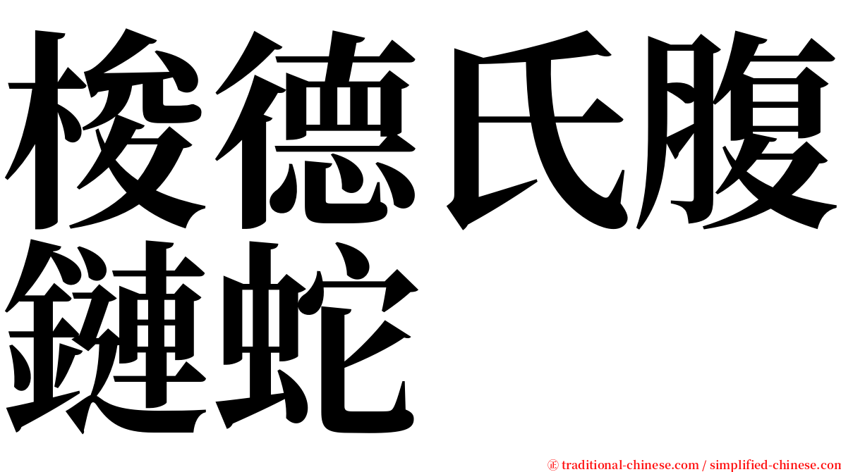 梭德氏腹鏈蛇 serif font