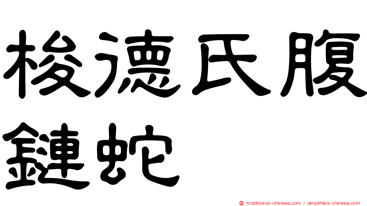 梭德氏腹鏈蛇