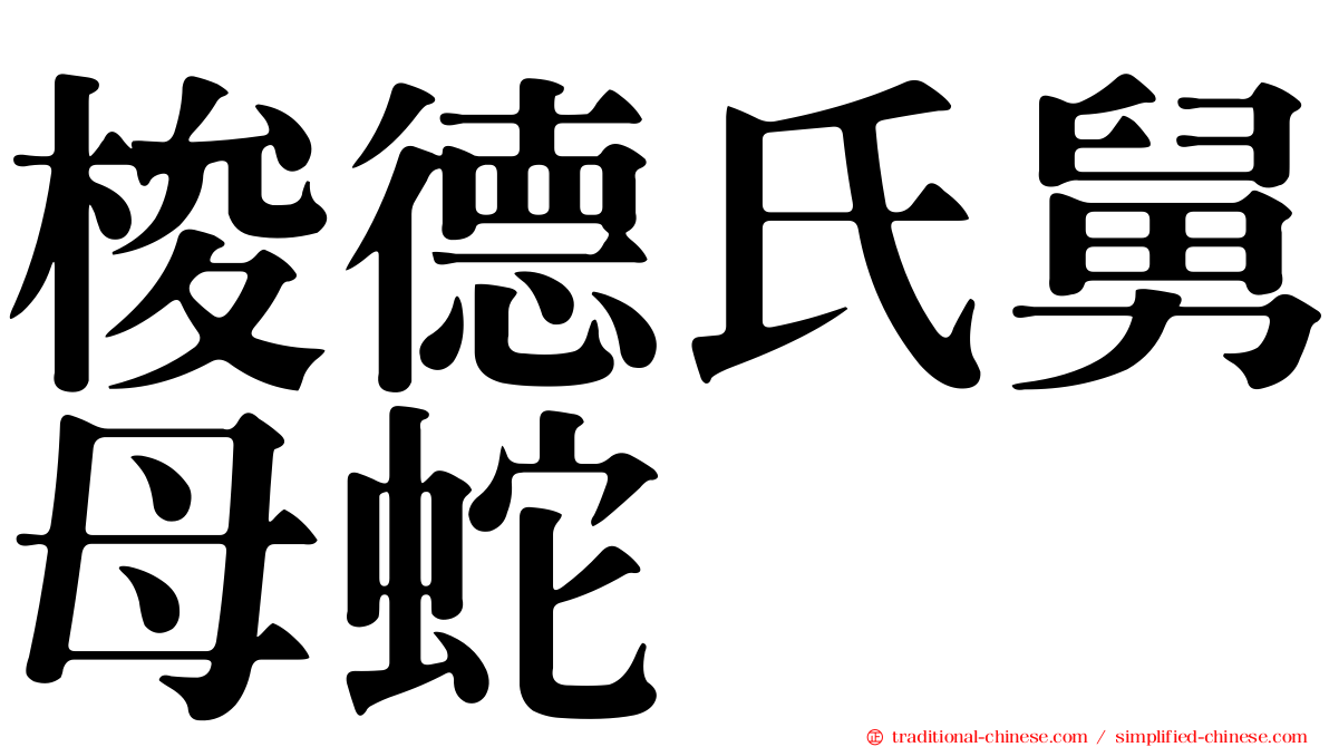 梭德氏舅母蛇