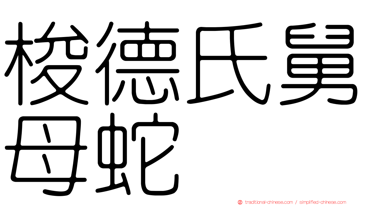 梭德氏舅母蛇
