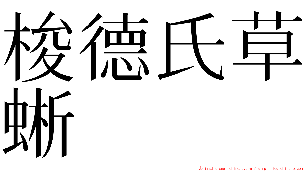 梭德氏草蜥 ming font