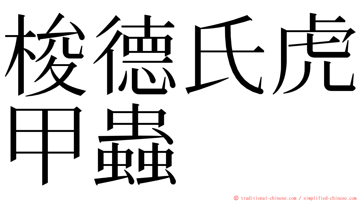 梭德氏虎甲蟲 ming font