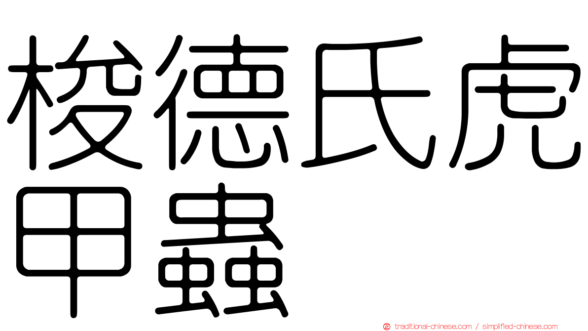 梭德氏虎甲蟲