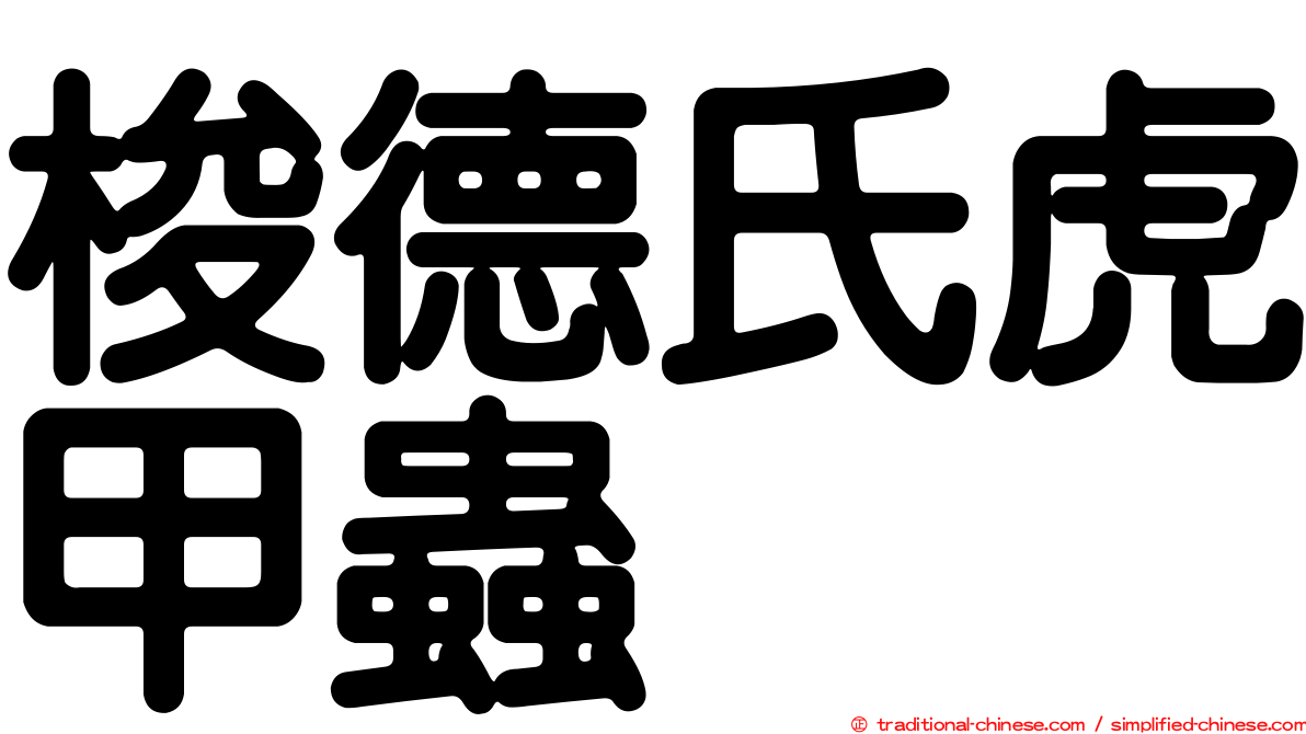 梭德氏虎甲蟲