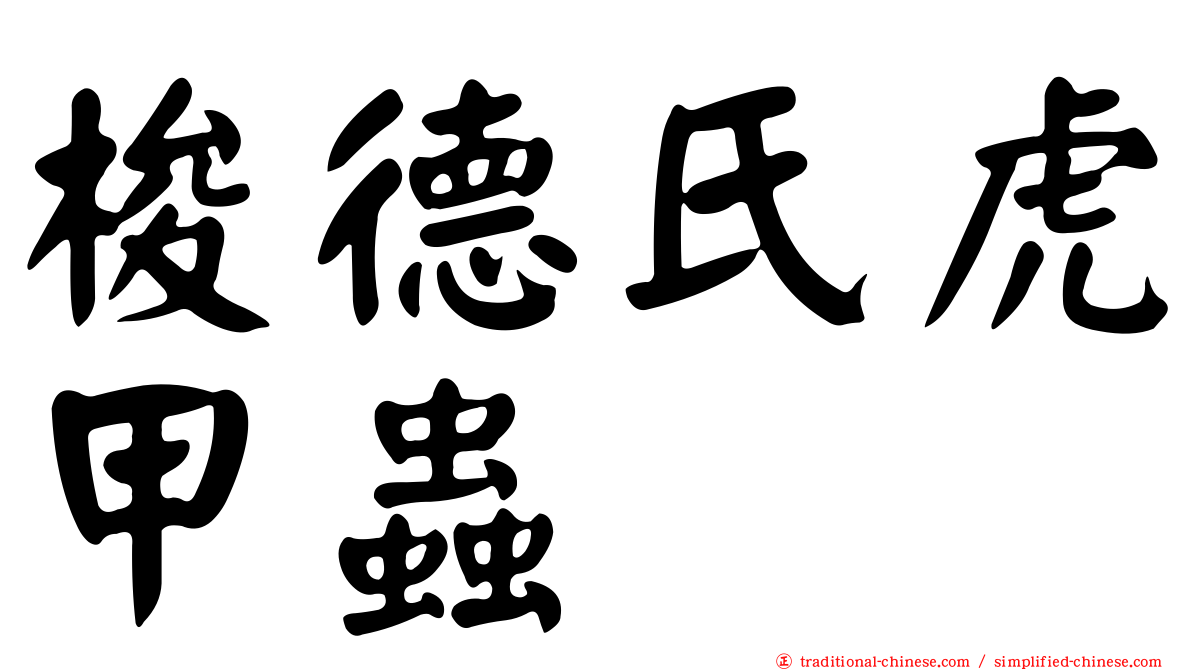 梭德氏虎甲蟲