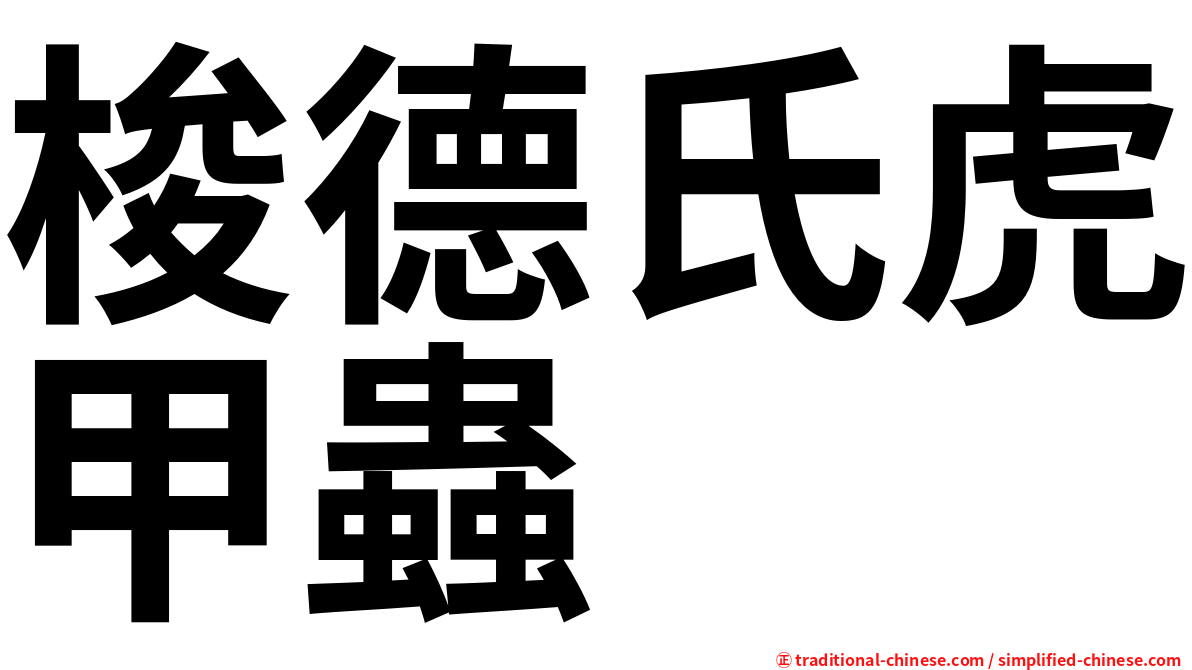梭德氏虎甲蟲