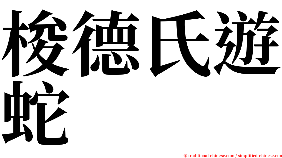 梭德氏遊蛇 serif font