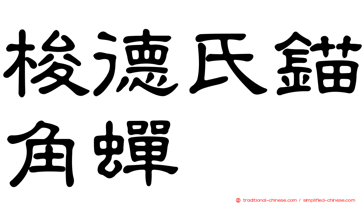 梭德氏錨角蟬