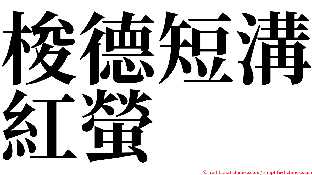 梭德短溝紅螢 serif font