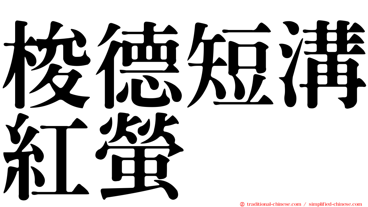 梭德短溝紅螢