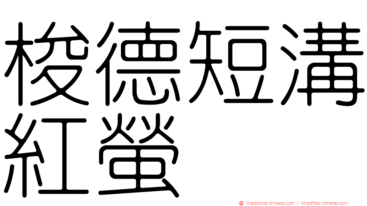 梭德短溝紅螢