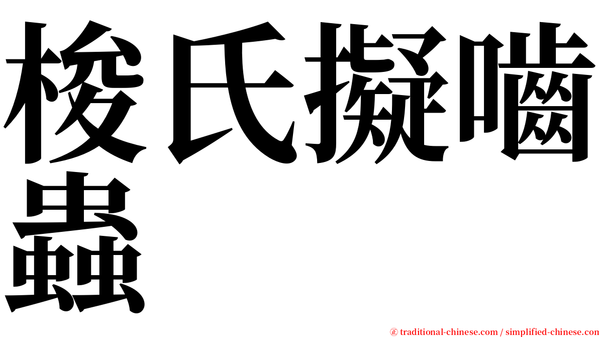 梭氏擬嚙蟲 serif font