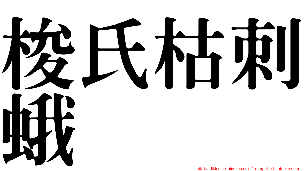 梭氏枯刺蛾