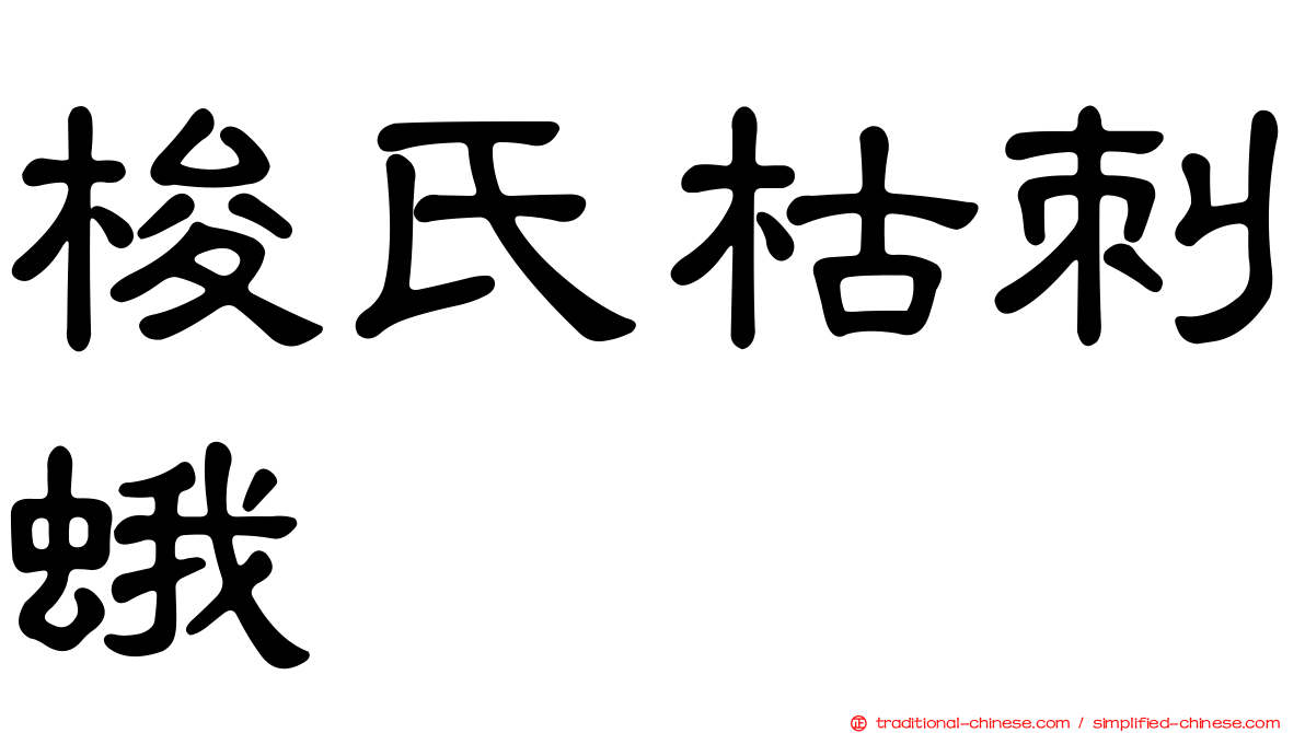 梭氏枯刺蛾