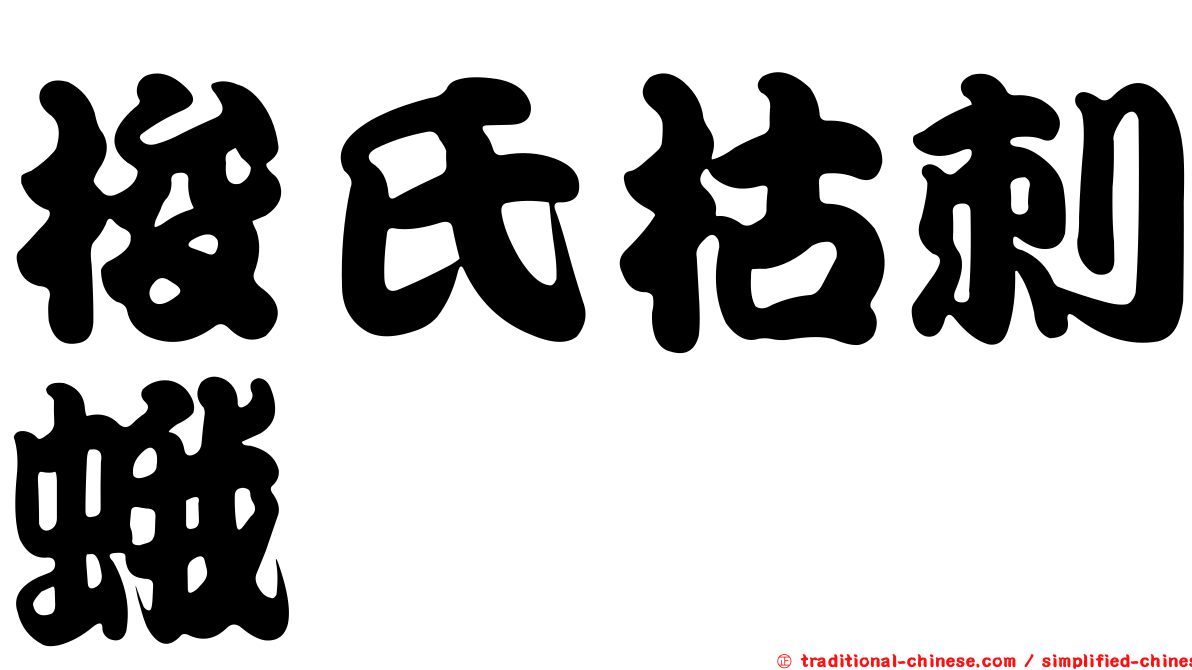 梭氏枯刺蛾