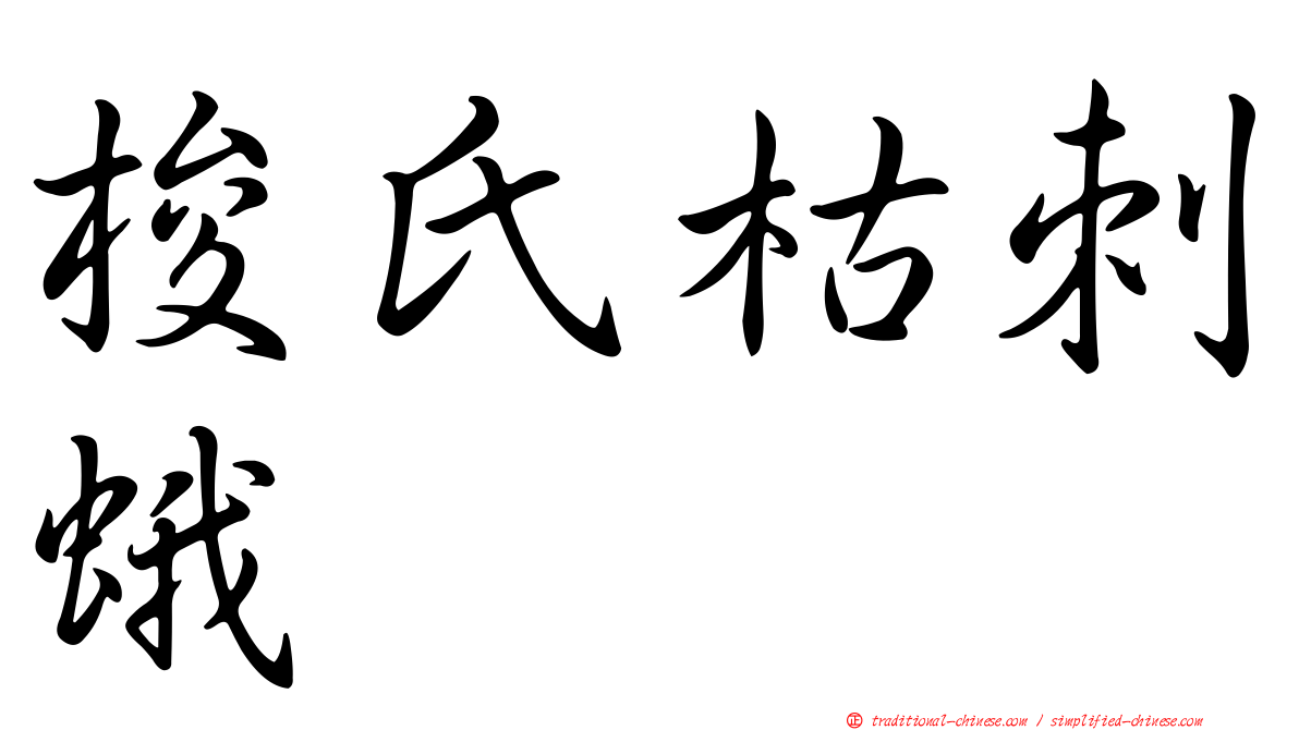 梭氏枯刺蛾
