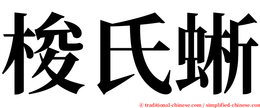 梭氏蜥 serif font