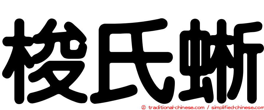 梭氏蜥