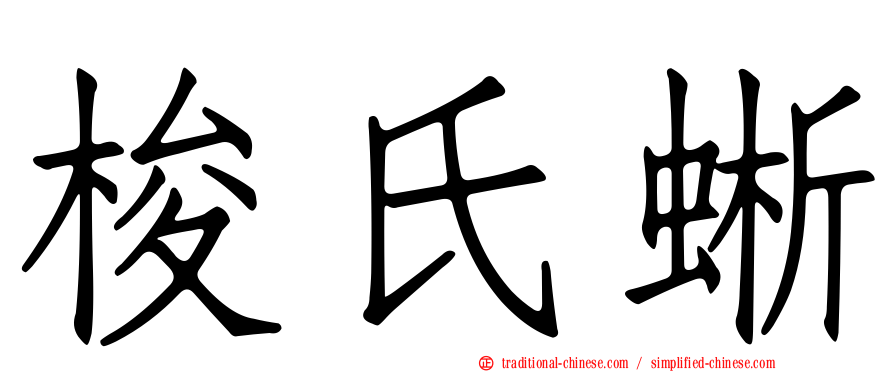 梭氏蜥