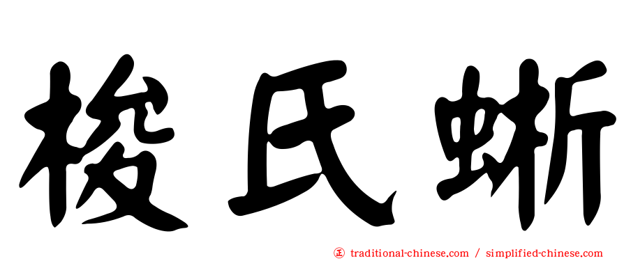 梭氏蜥