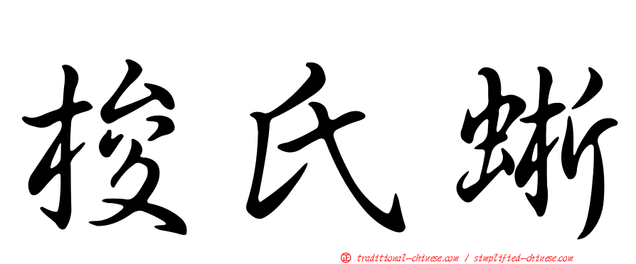 梭氏蜥