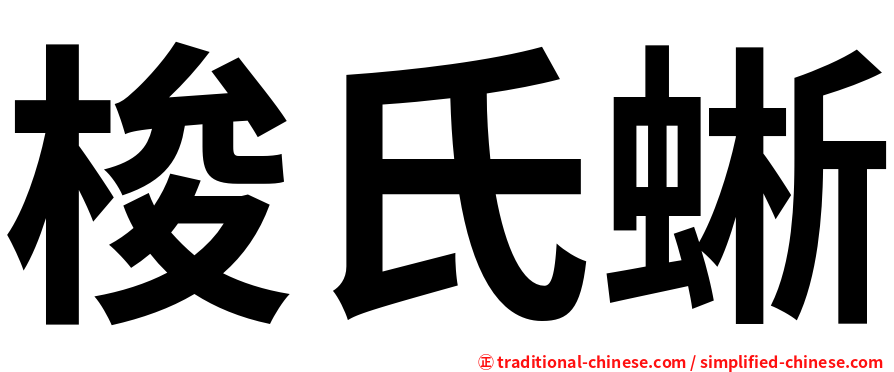 梭氏蜥