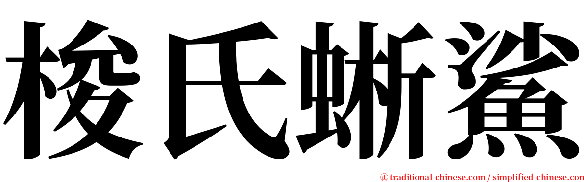 梭氏蜥鯊 serif font