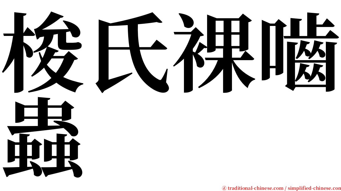 梭氏裸嚙蟲 serif font