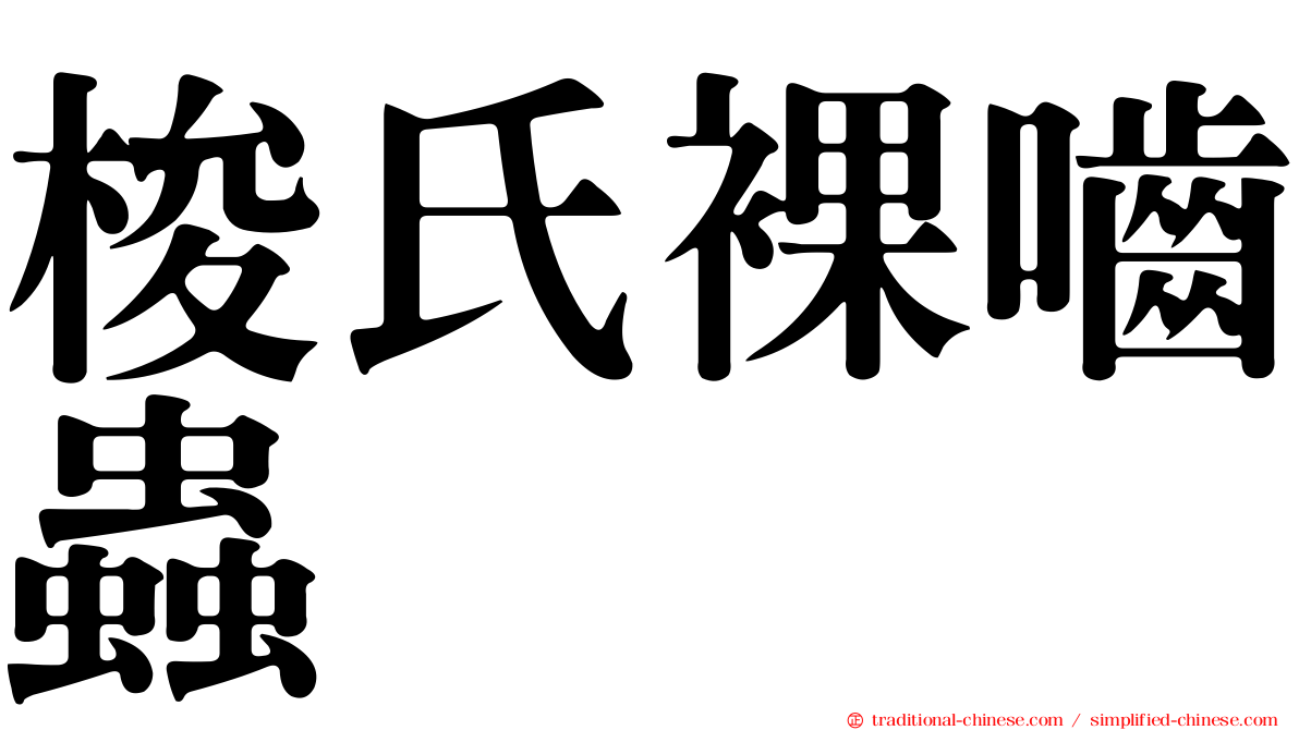 梭氏裸嚙蟲