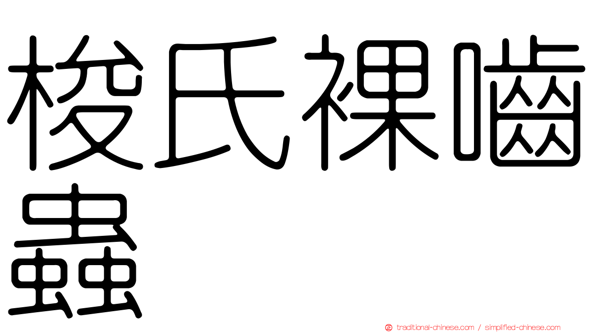 梭氏裸嚙蟲