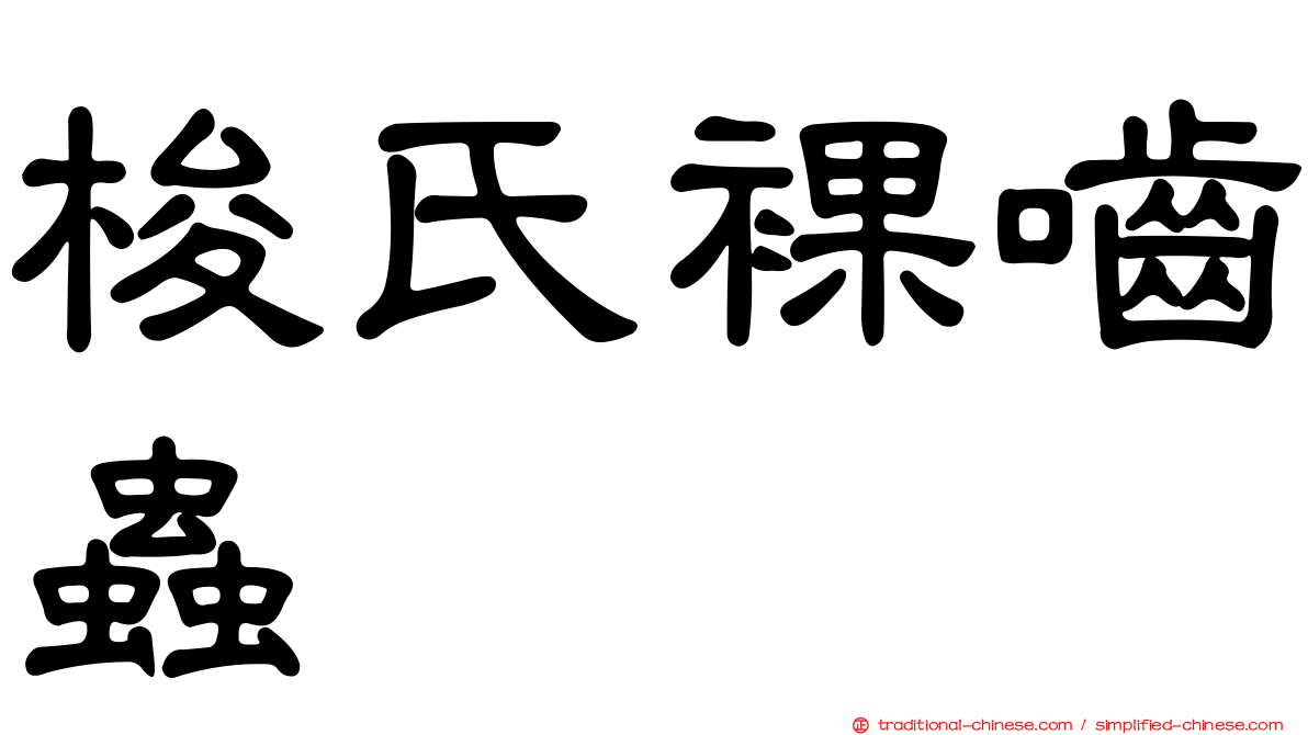 梭氏裸嚙蟲