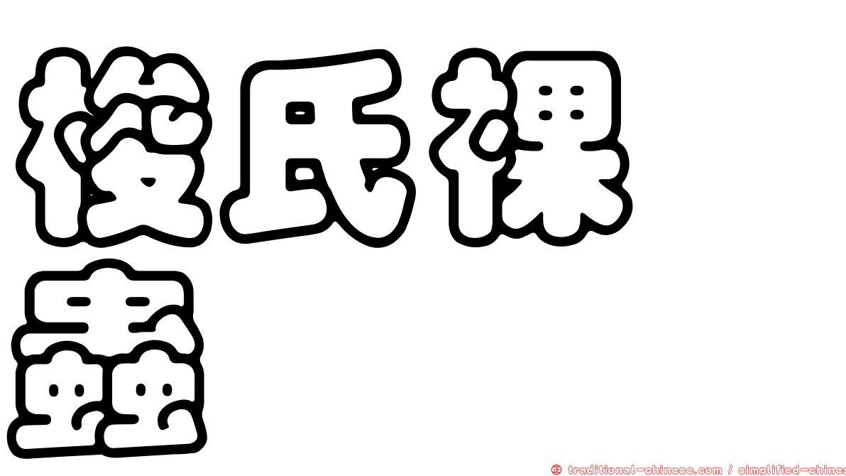 梭氏裸嚙蟲