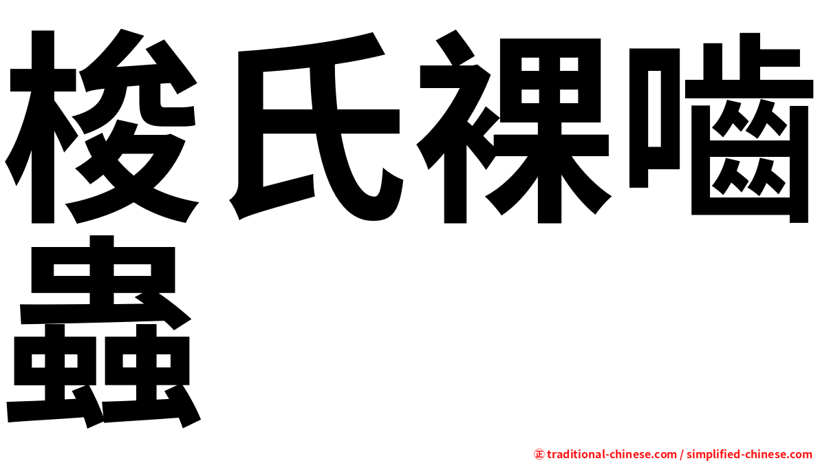 梭氏裸嚙蟲