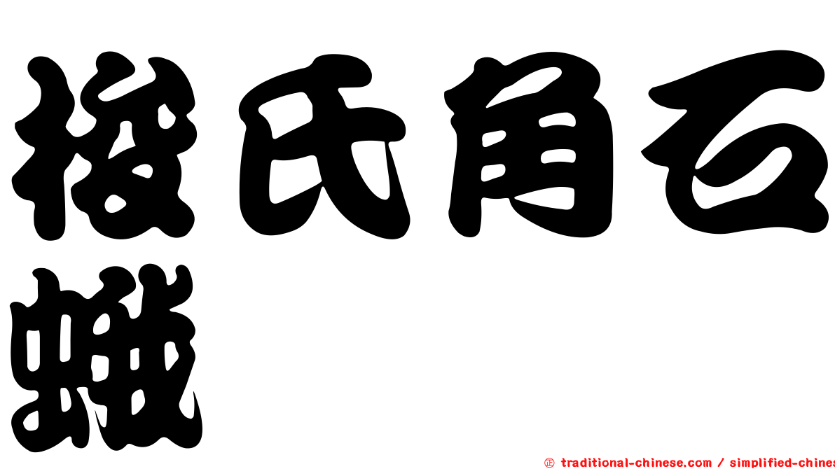 梭氏角石蛾