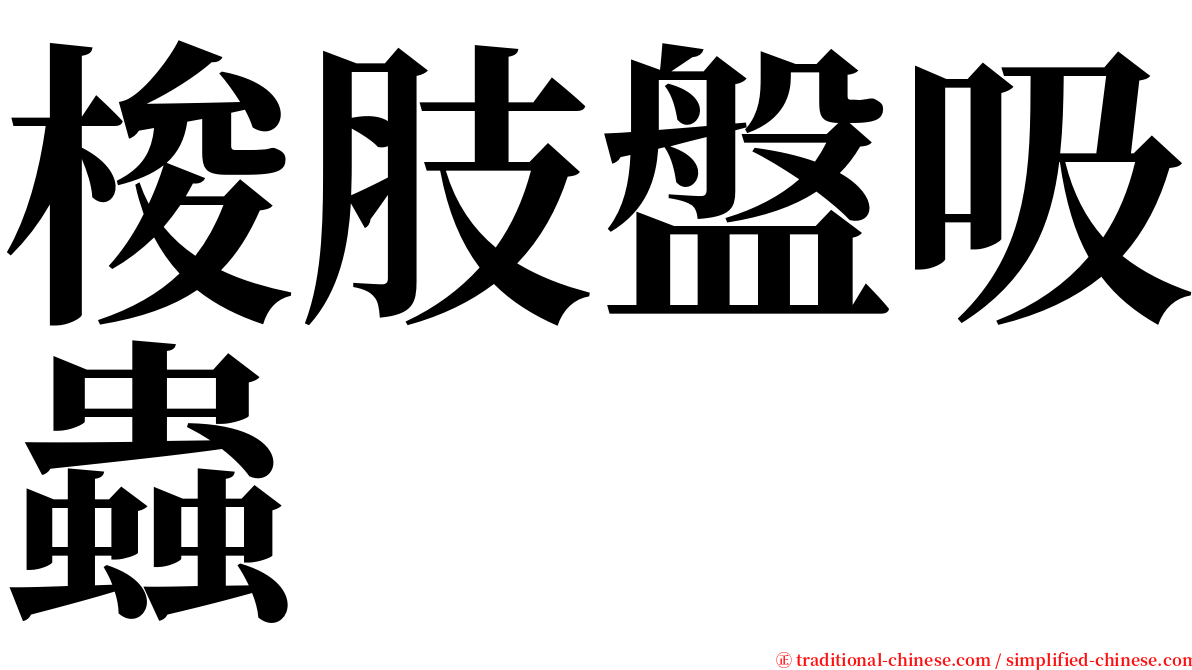 梭肢盤吸蟲 serif font