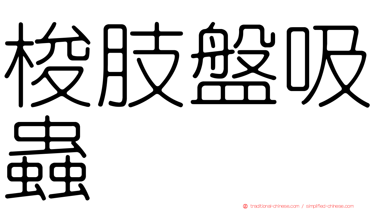 梭肢盤吸蟲